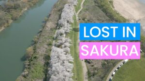 Lost-in-Sakura-a-la-decouverte-de-spots-incroyables-au-Japon